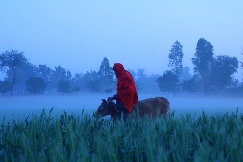 Winter  Love and carw фото превью