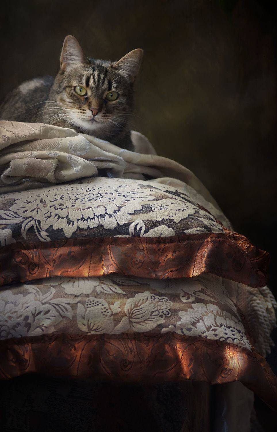 , Светлана Сушкевич