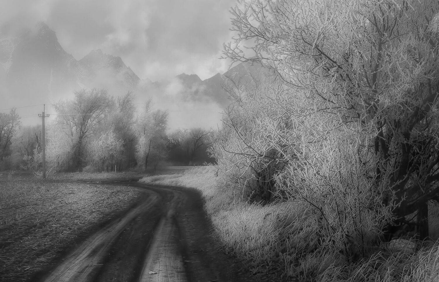 , Геннадий Чеботарев