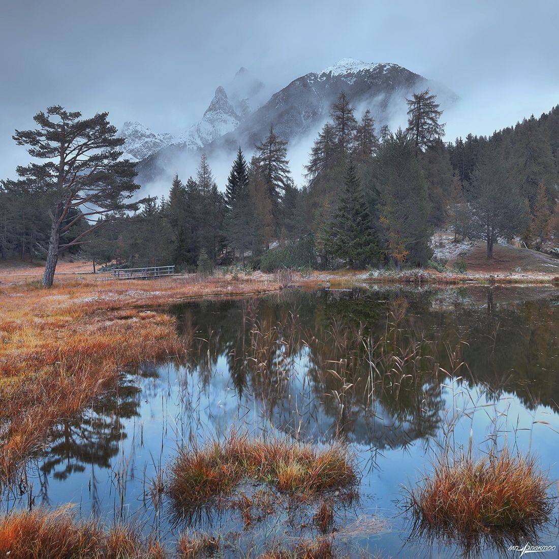 swiss, Матвеев Николай
