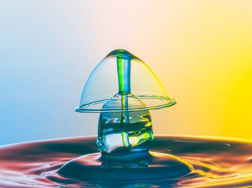 Little Liquid Lampshade