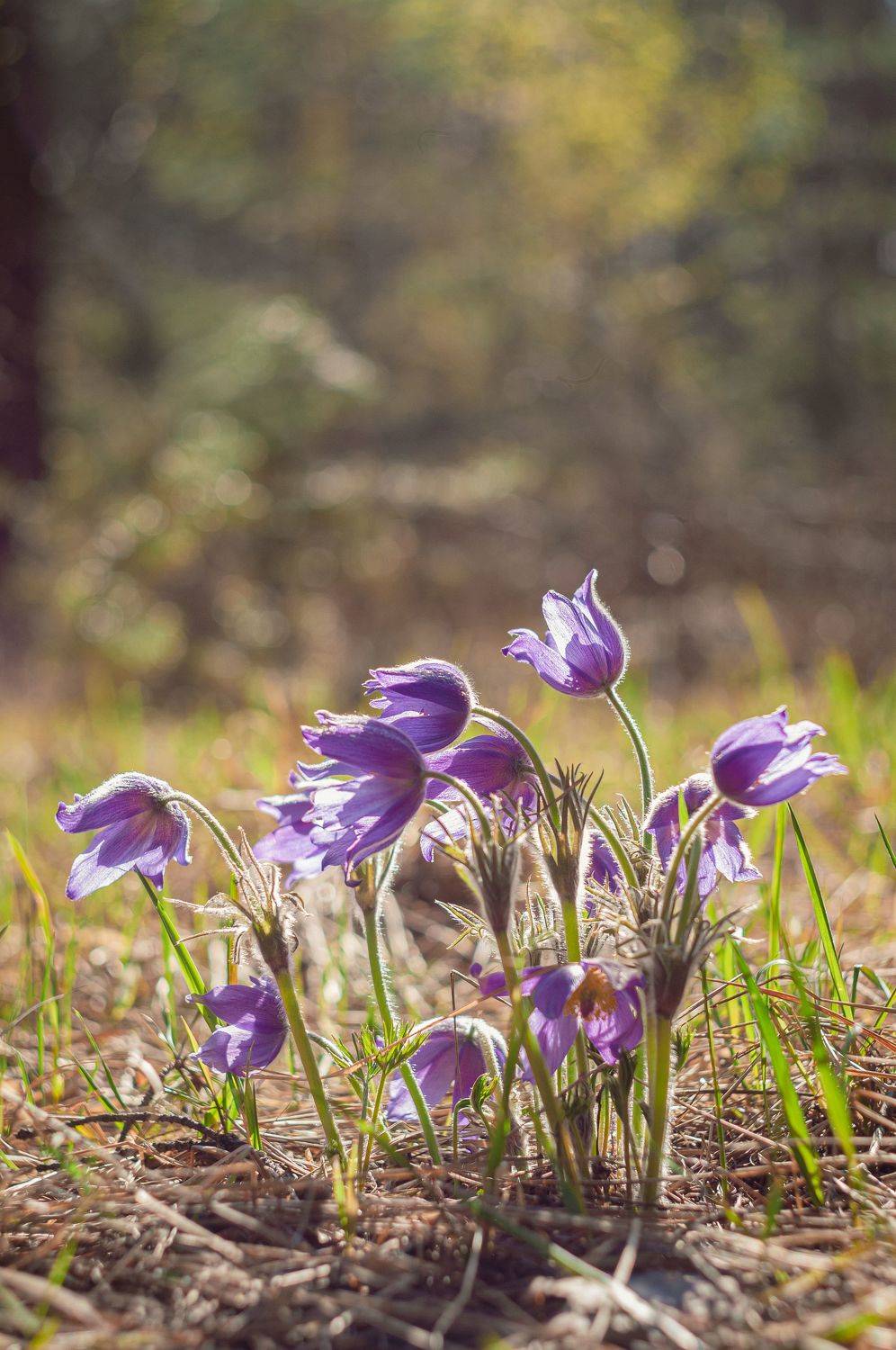 , Динара Зуйкова