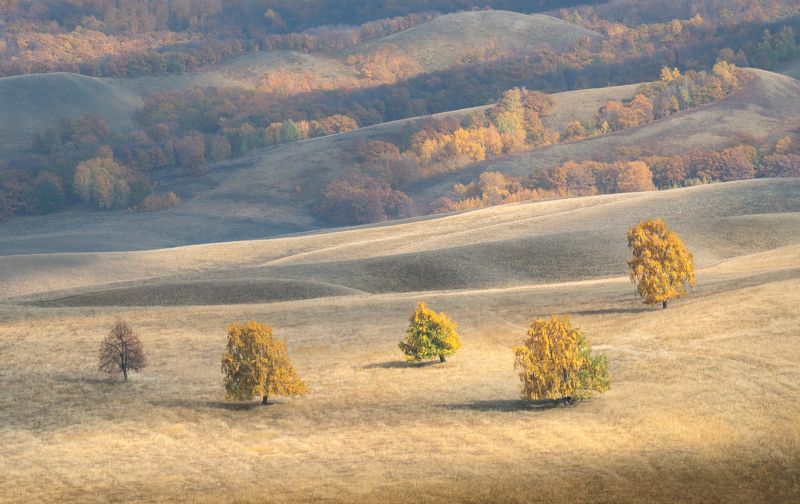 ***** фото превью