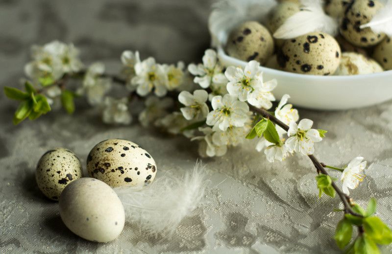 светлая пасха фото превью