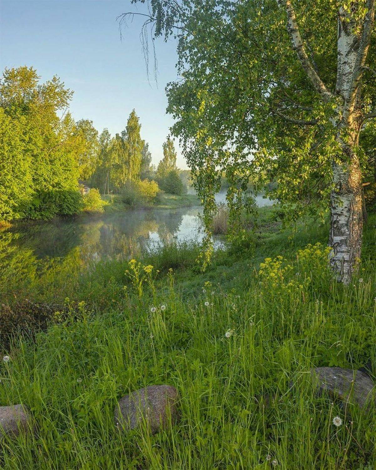 , Петр Косых