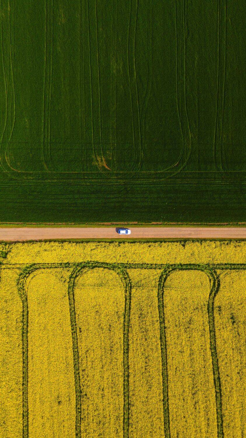 , Павел Сагайдак