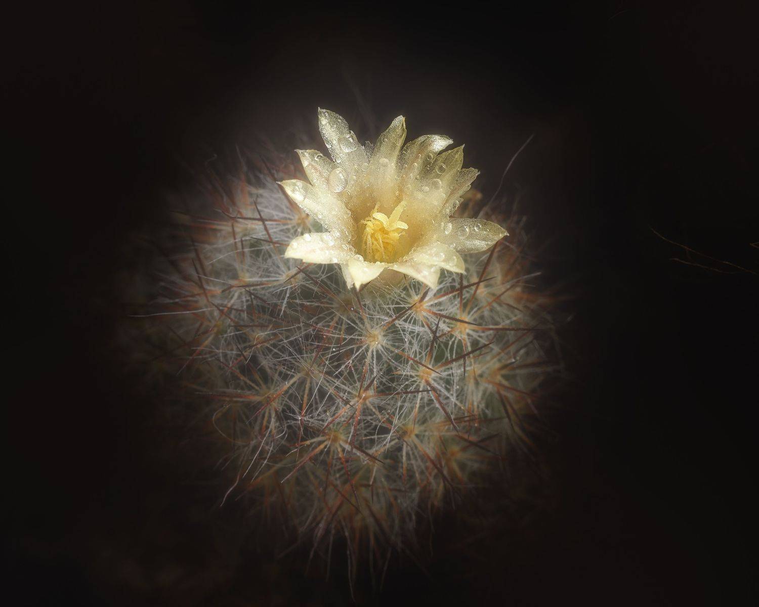 , Валерий Вторыгин