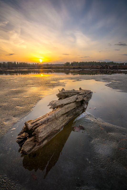 весна река лес урал закат Речной дракон фото превью