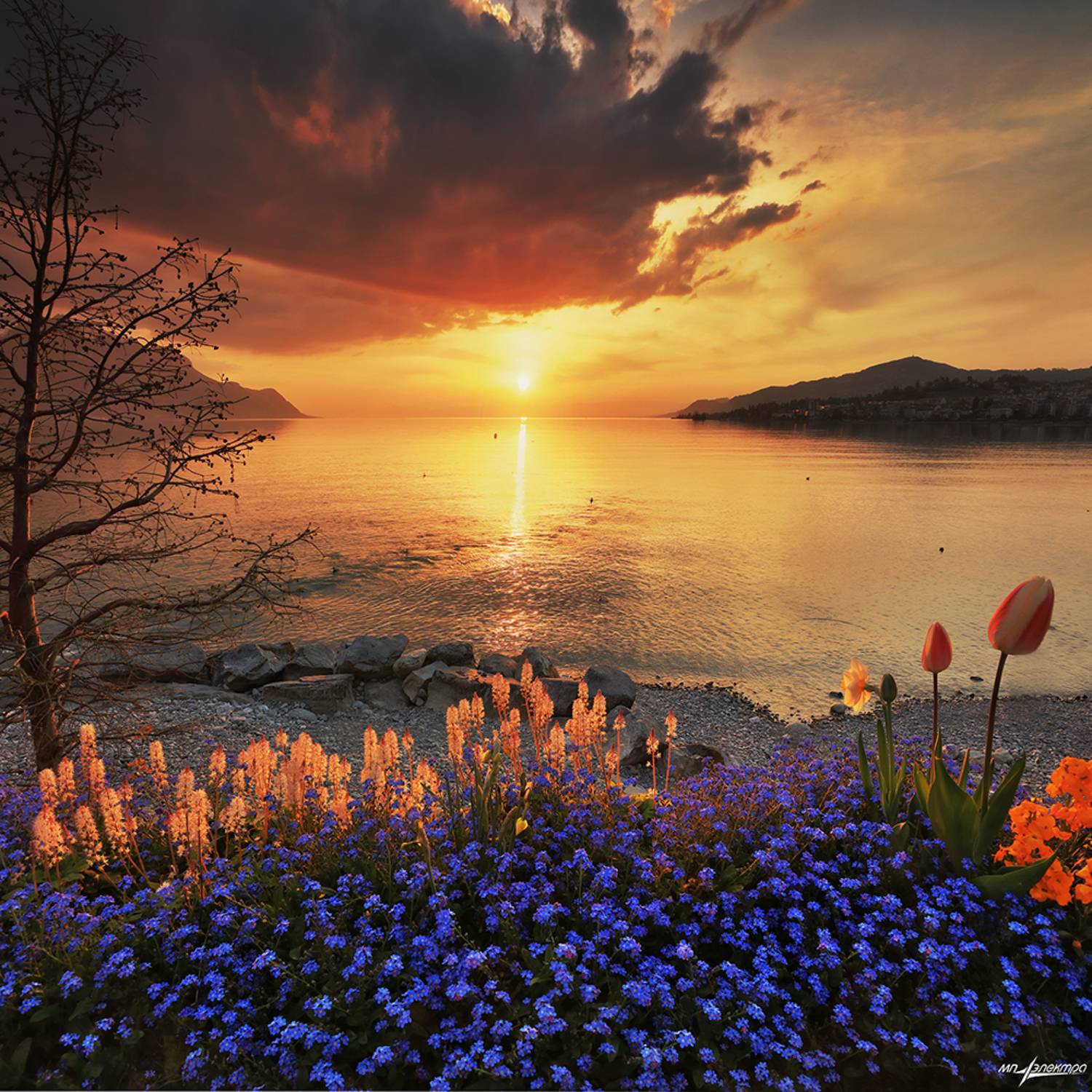 swiss,montreux,швейцария,весна, Матвеев Николай