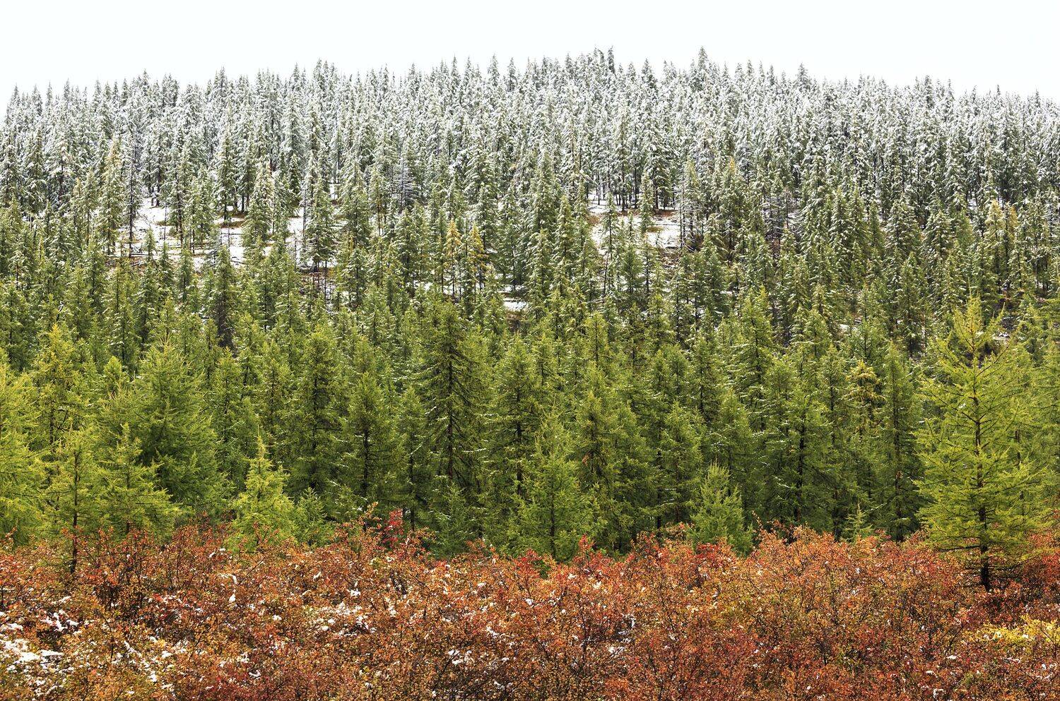 , Михаил Байбородин