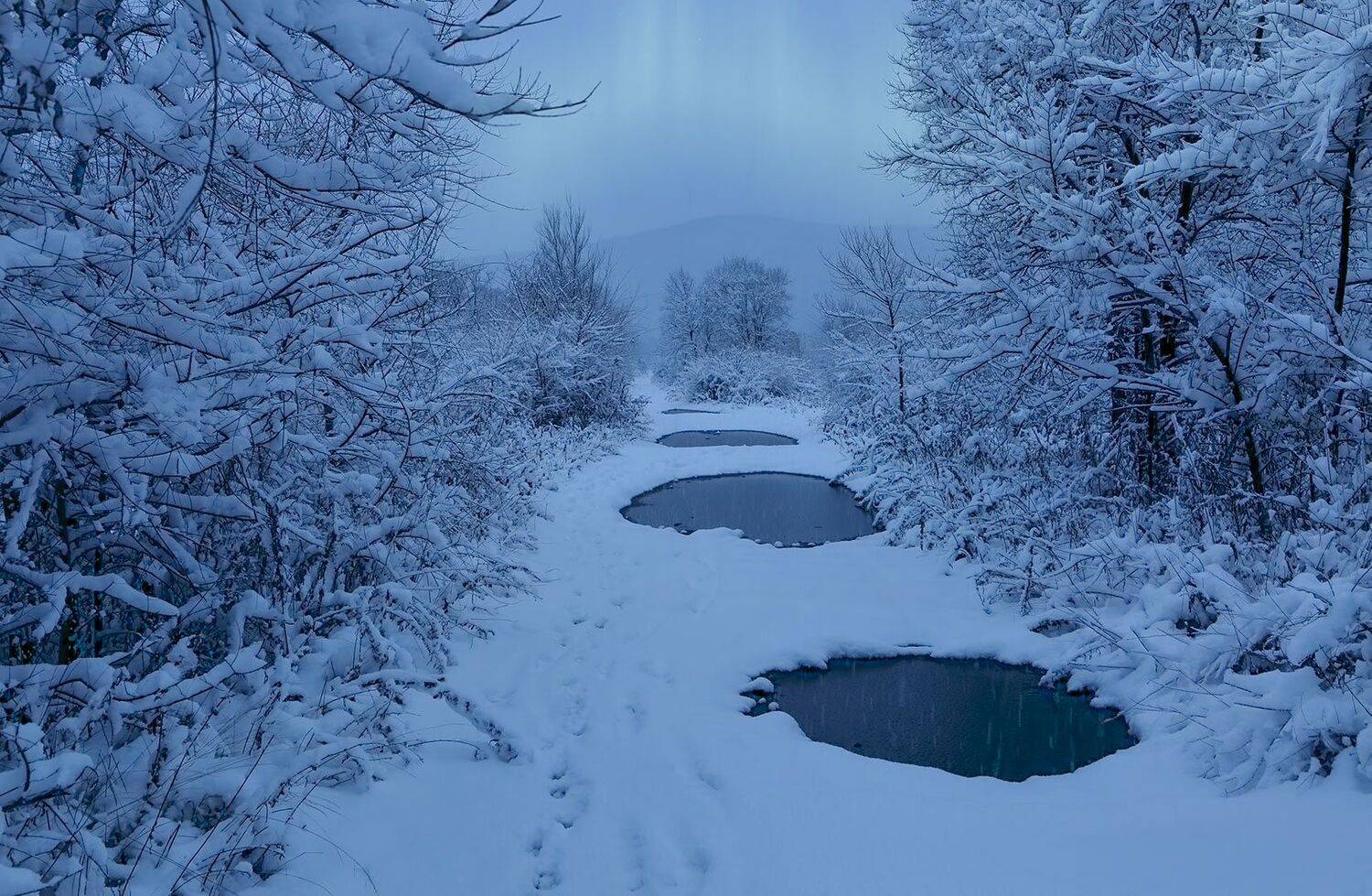 	вечер, зима, лужи, Приморье, снегопад, старая дорога, Евгений Паршуков