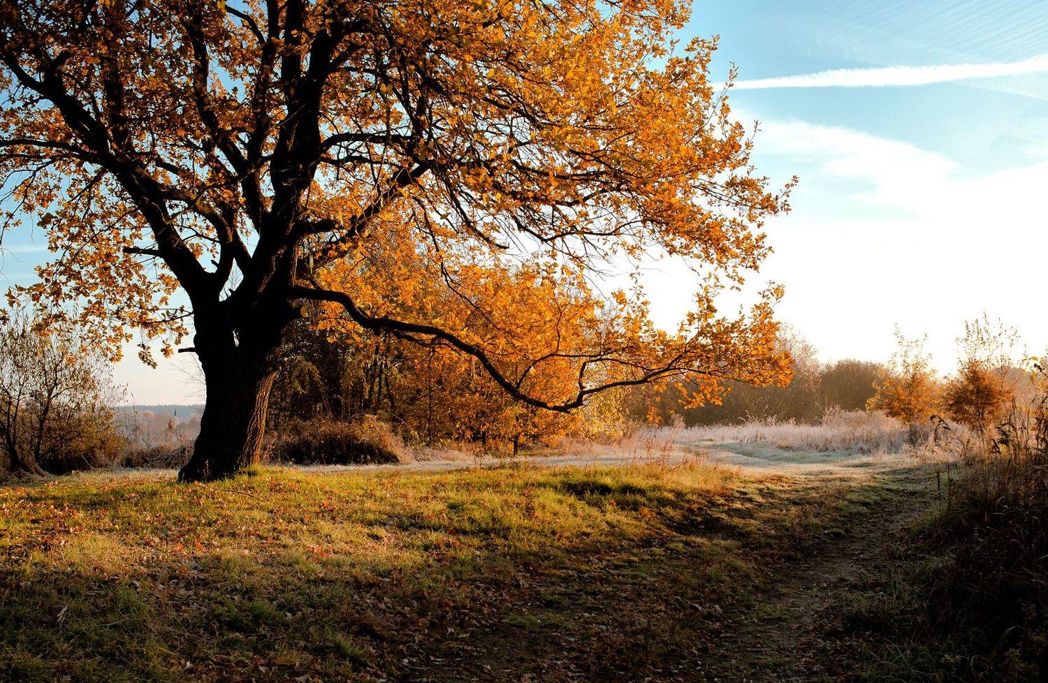 , Рукин Иван