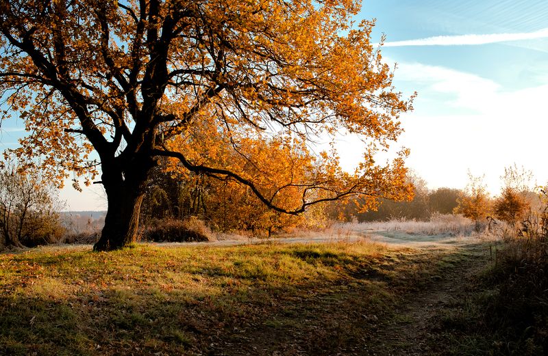 * фото превью