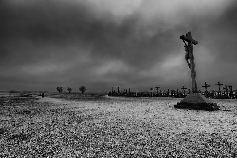 Quo vadis фото превью