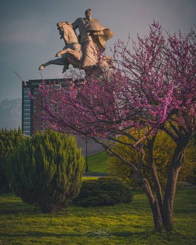 Spring to coming...