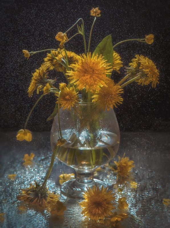 Цветы солнца фото превью