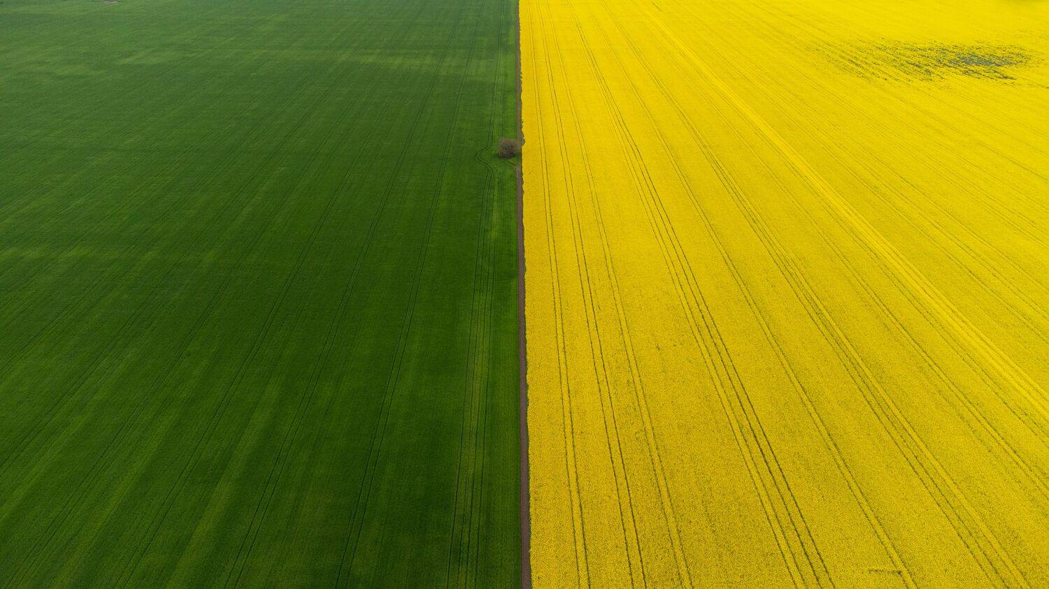, Павел Сагайдак