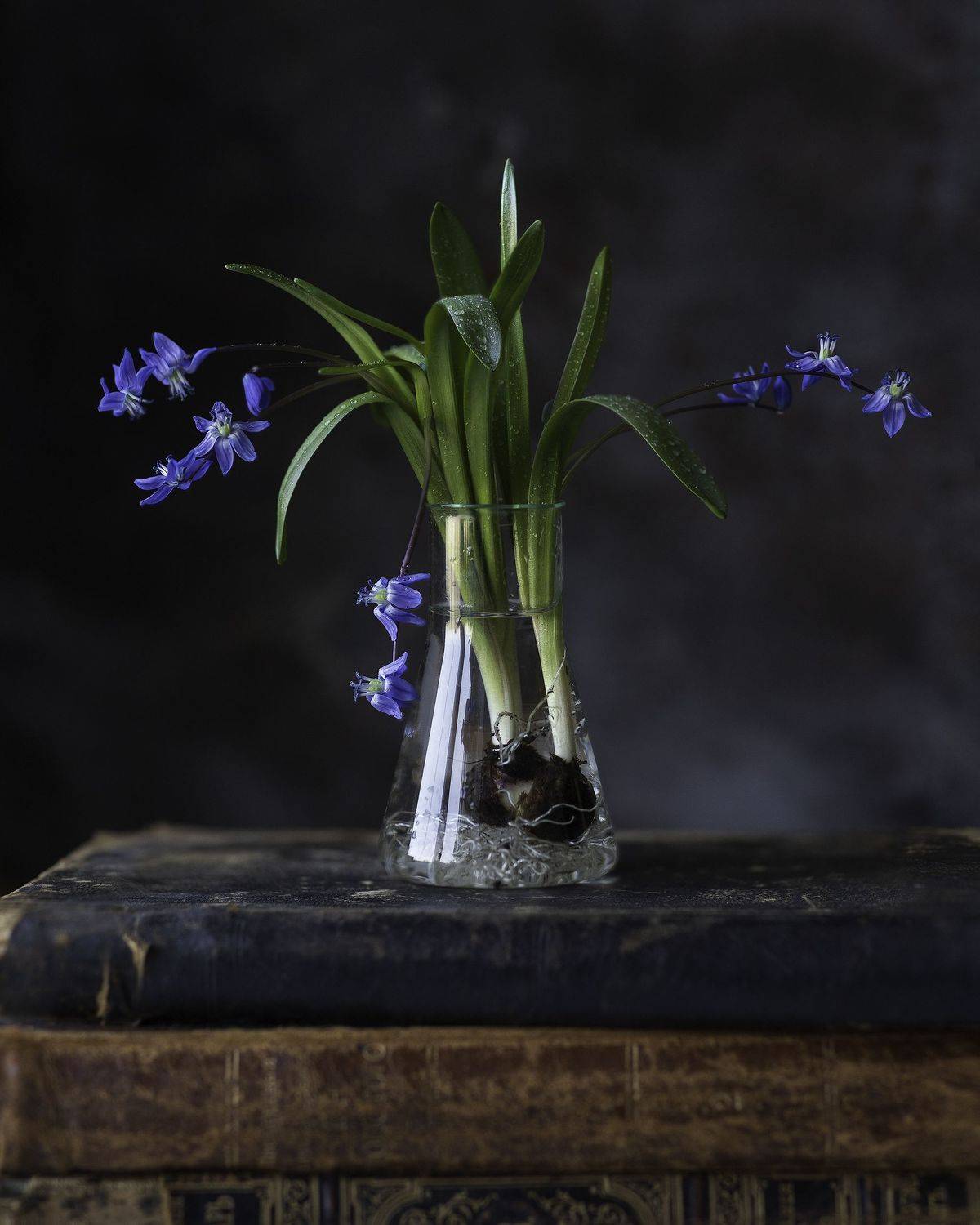 , Светлана Ерохина