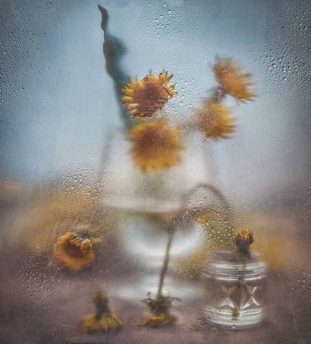 Пасмурность