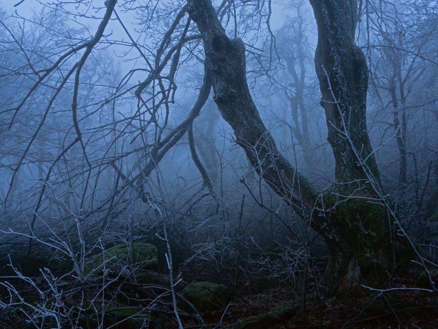 туман, кмв, развалка, Максим