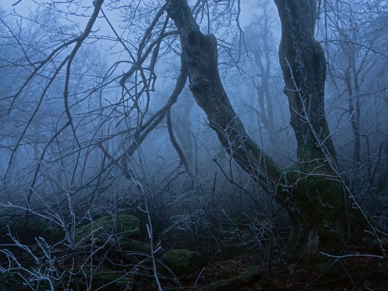 туман, кмв, развалка Сумерки Развальские фото превью