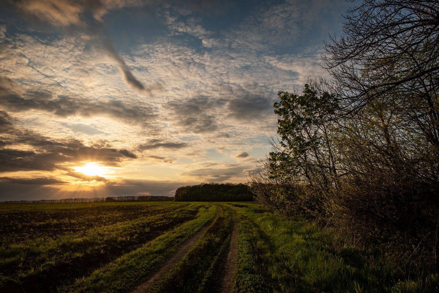 , Чистаев Александр