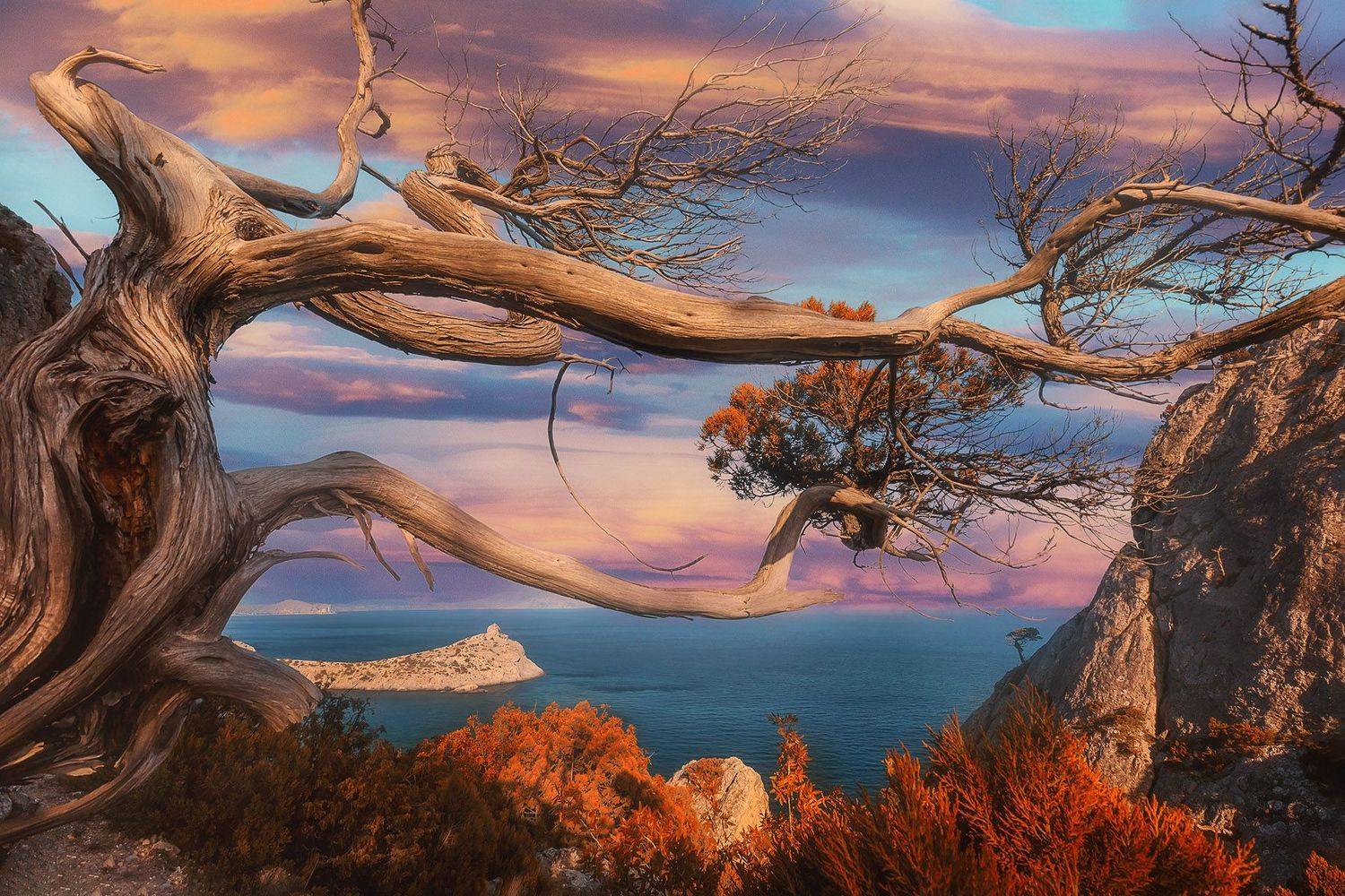 , Александр Костенко