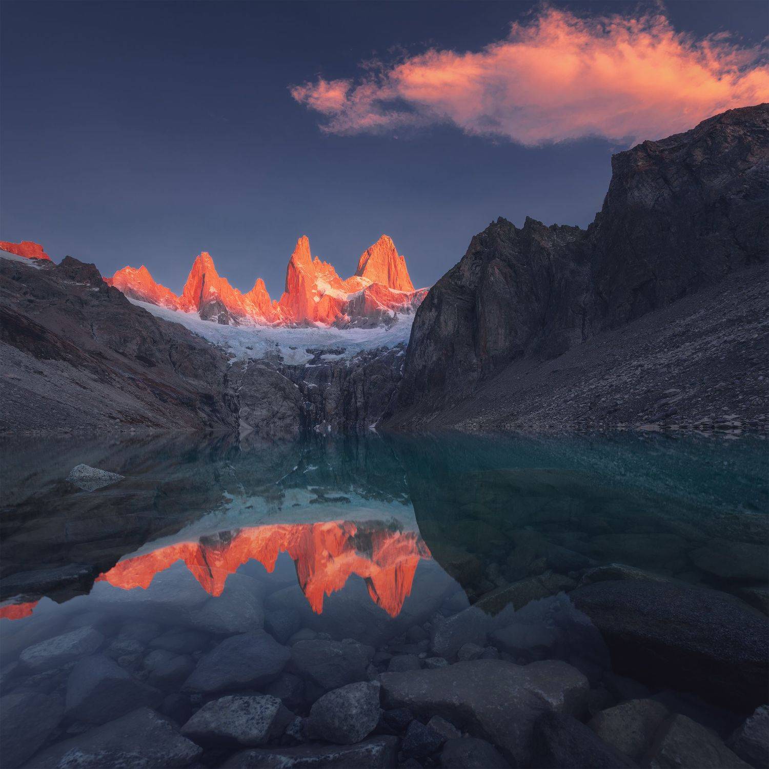 , Анна Политова