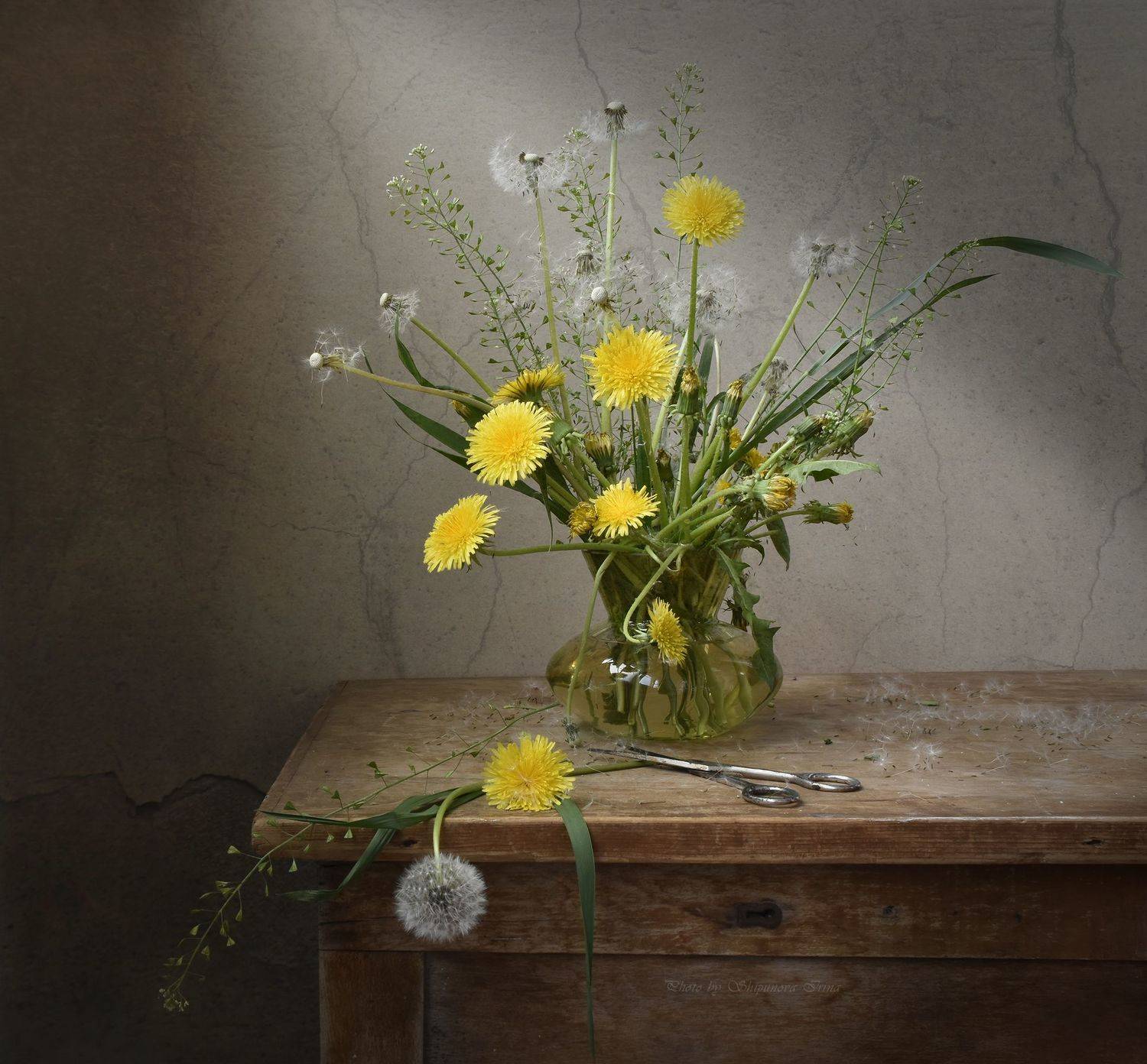 , Шипунова Ирина