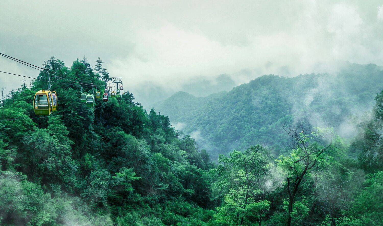白云之巅, 吴 微雨墨烟鸿