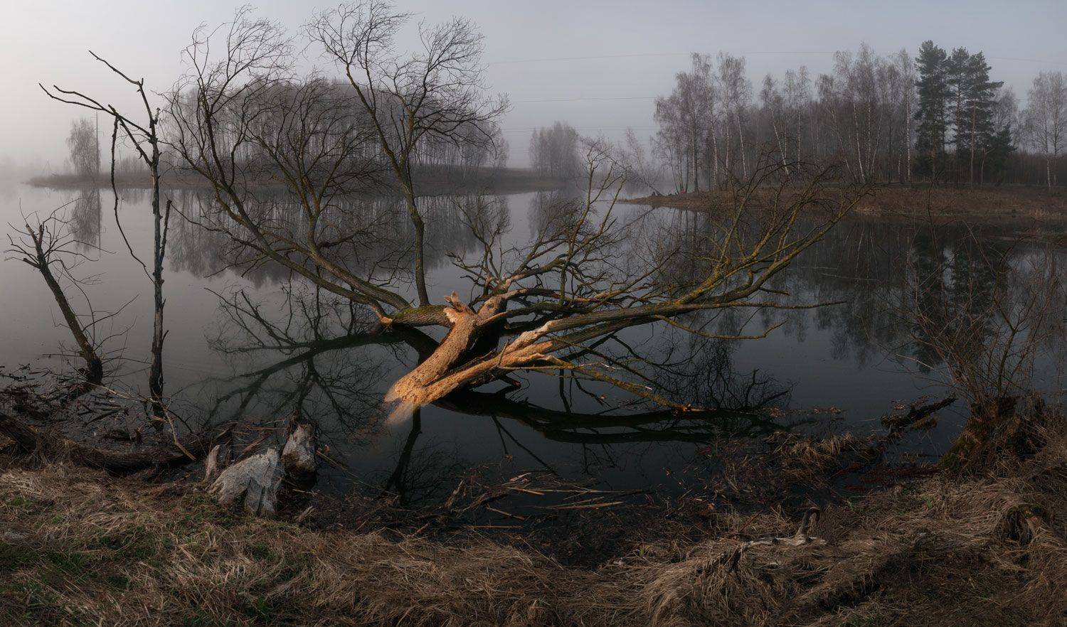 , Баранов Олег