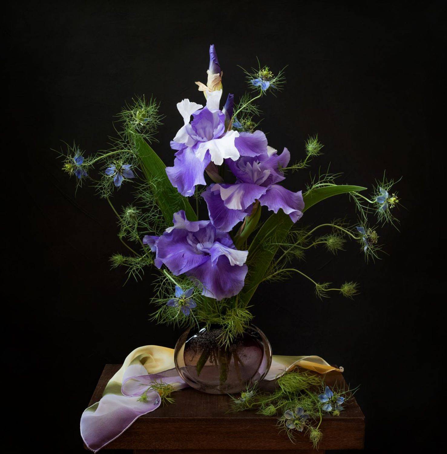 натюрморт, цветы, ирисы, Оля