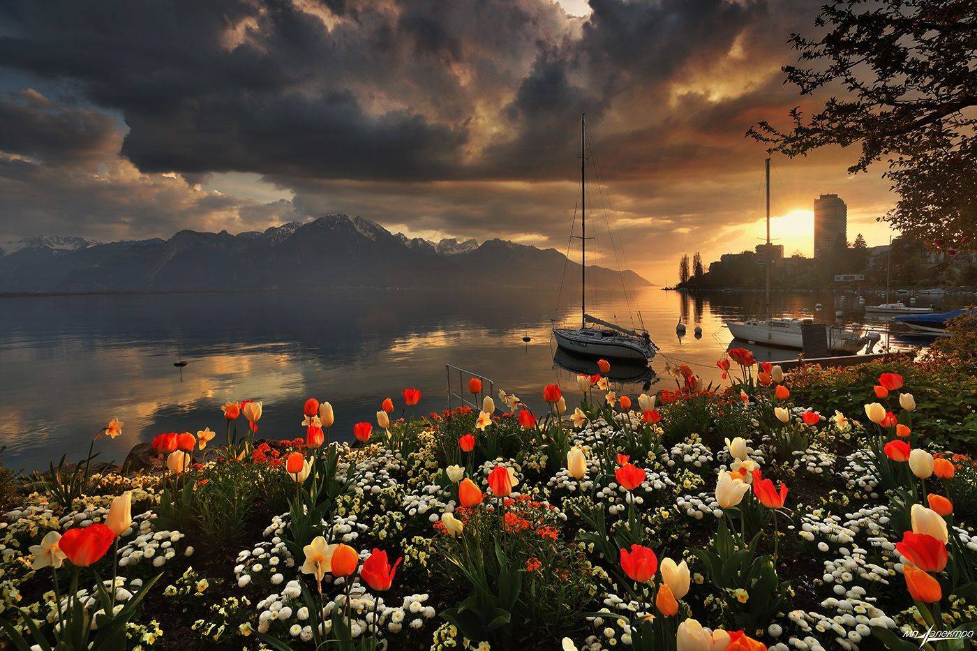 swiss, Матвеев Николай