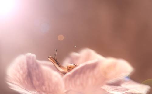 Курс на свет!