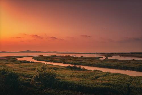 landscape