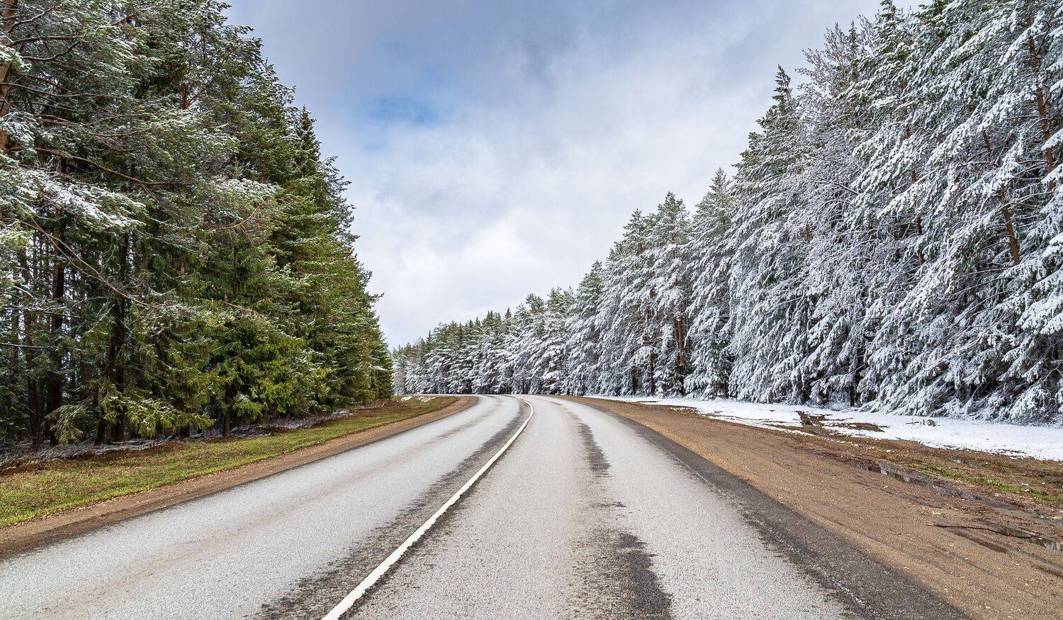 , Алексей Шуплецов