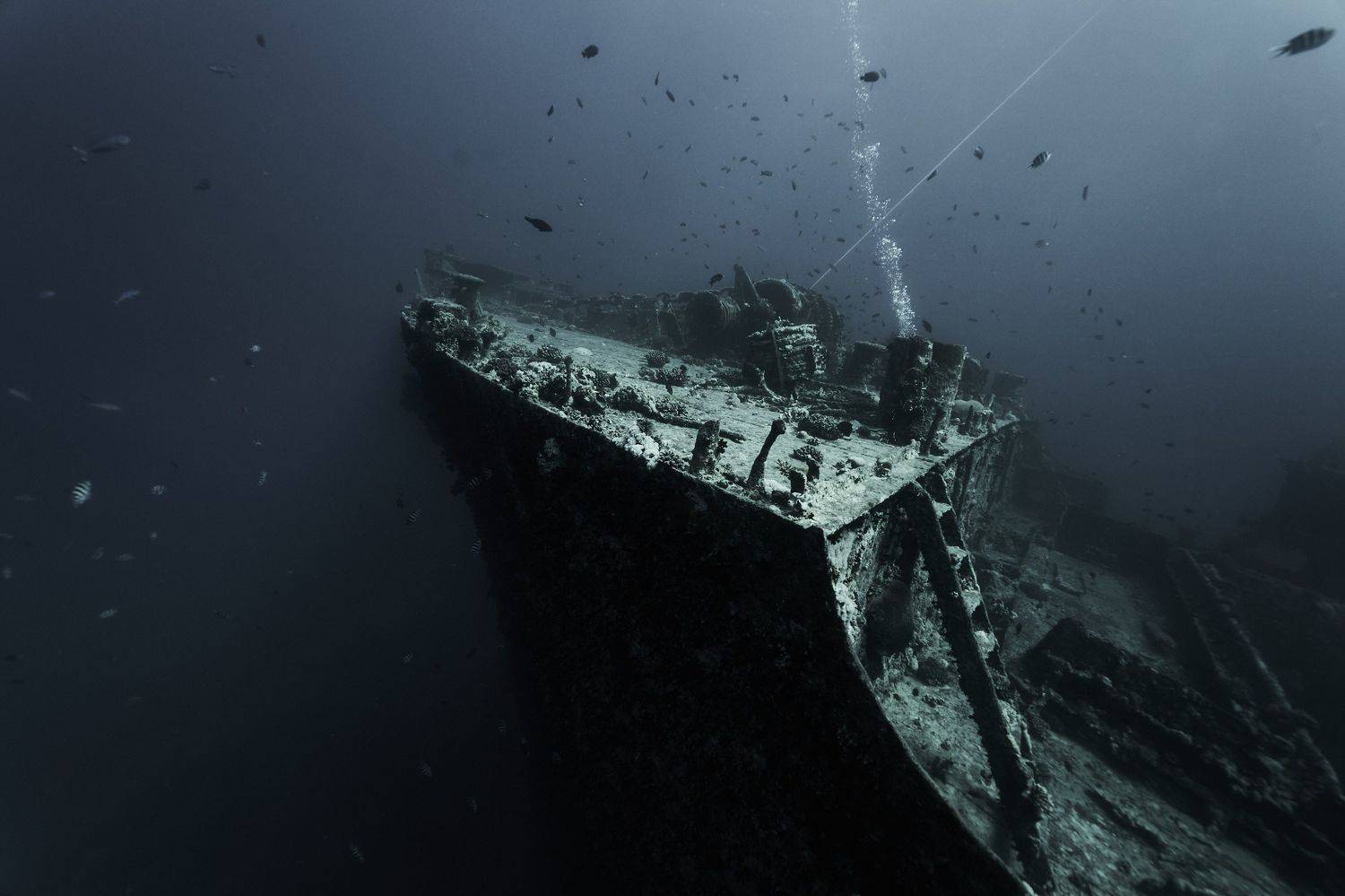 дайвинг, подводное фото, тистельгорм, Павел Карчевский