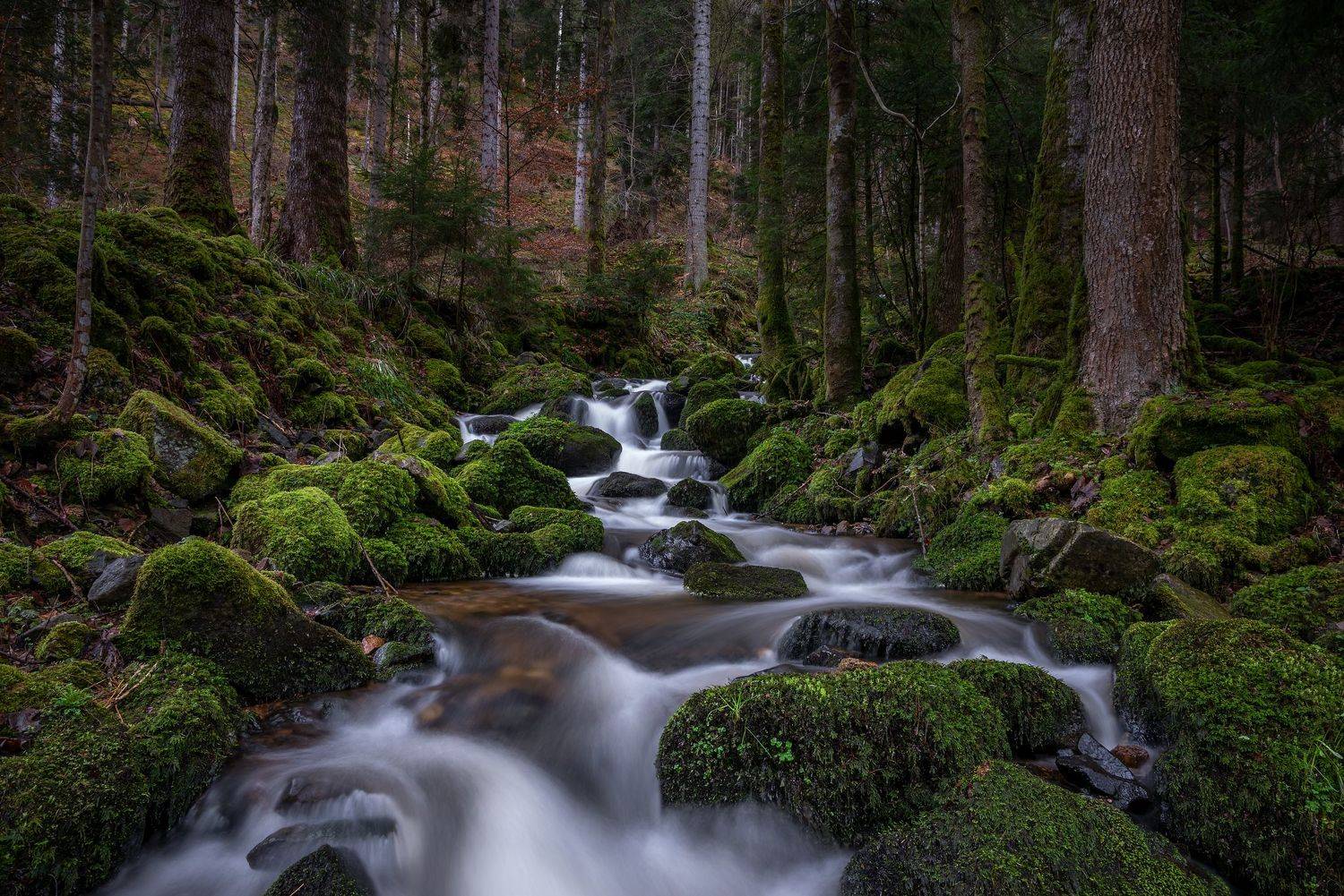 , Руслан Авдевич