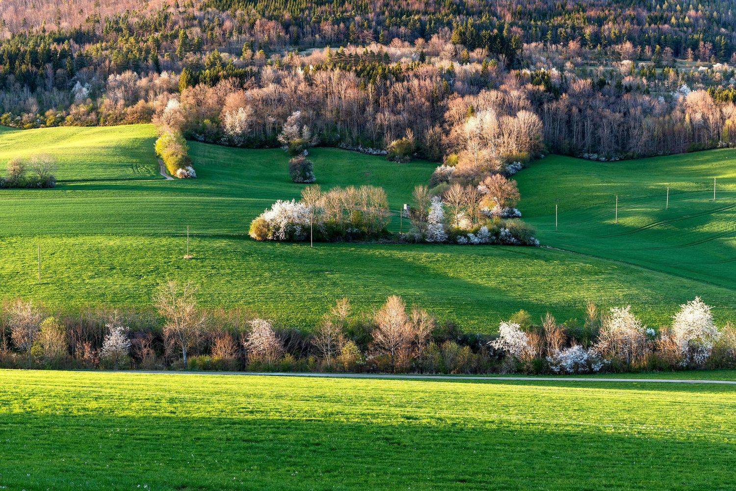 , Руслан Авдевич