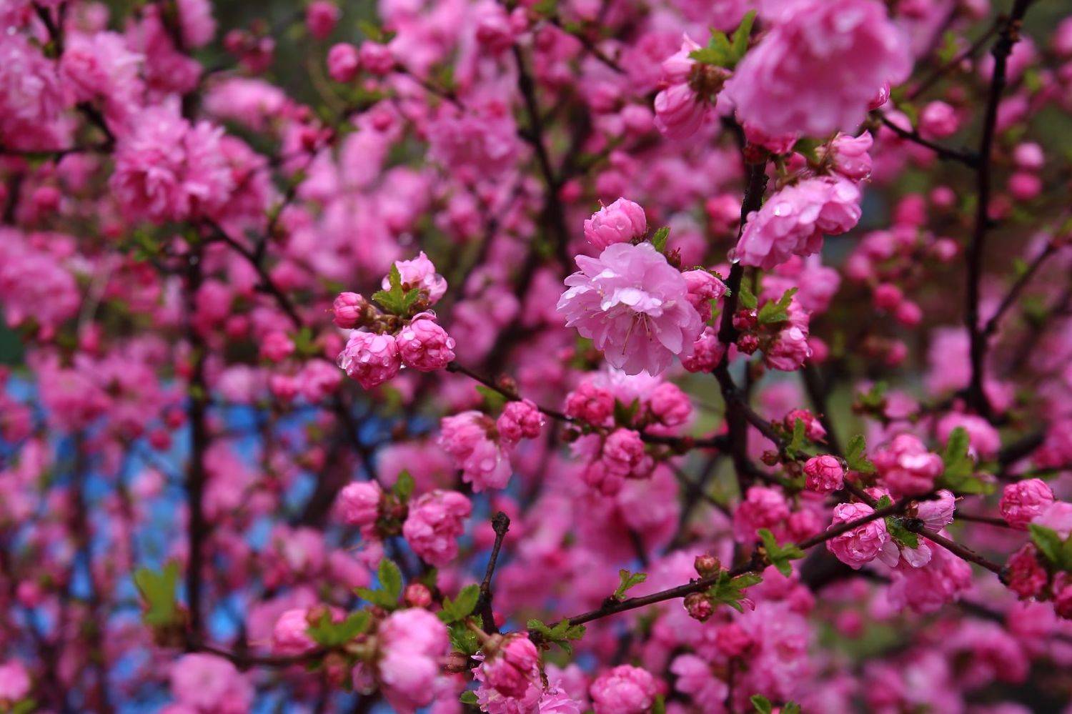 , Евгений Зинов