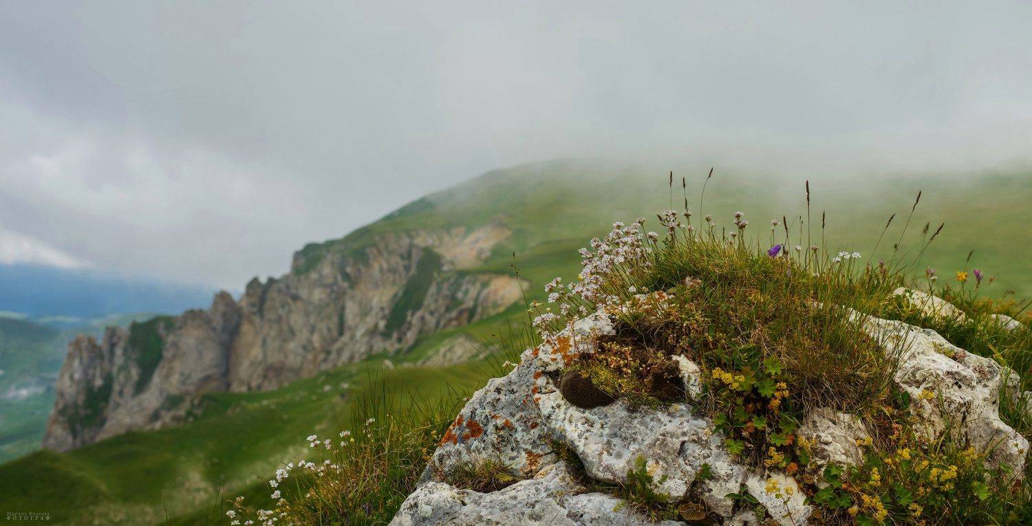 пейзаж, адыгея, ркаснодарский край, кавказский заповедник, горы,  Мариночка