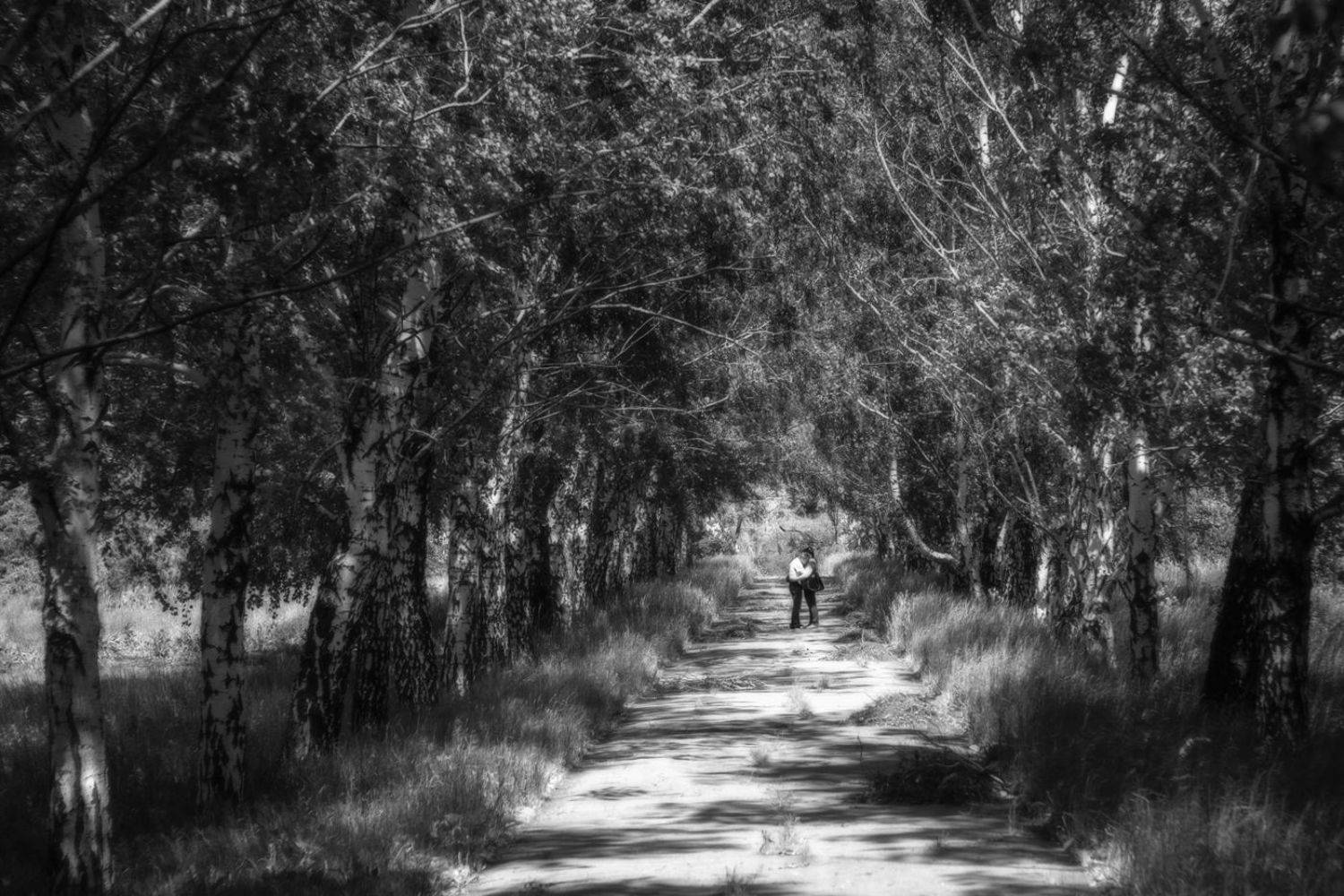 , Мелекесцев Игорь