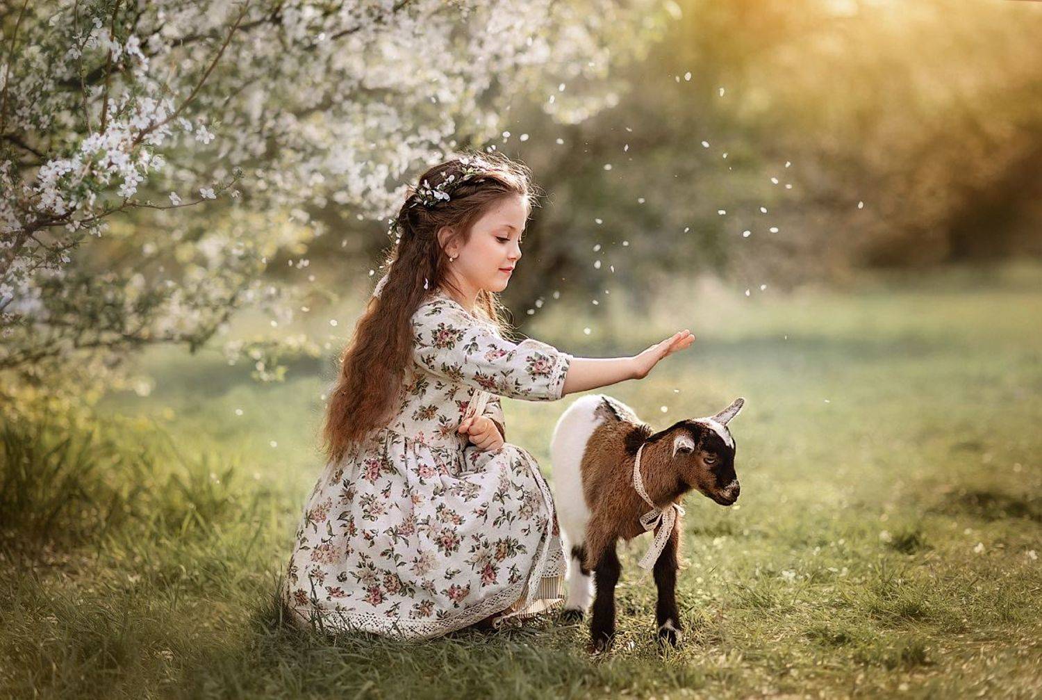 , Деева Елена