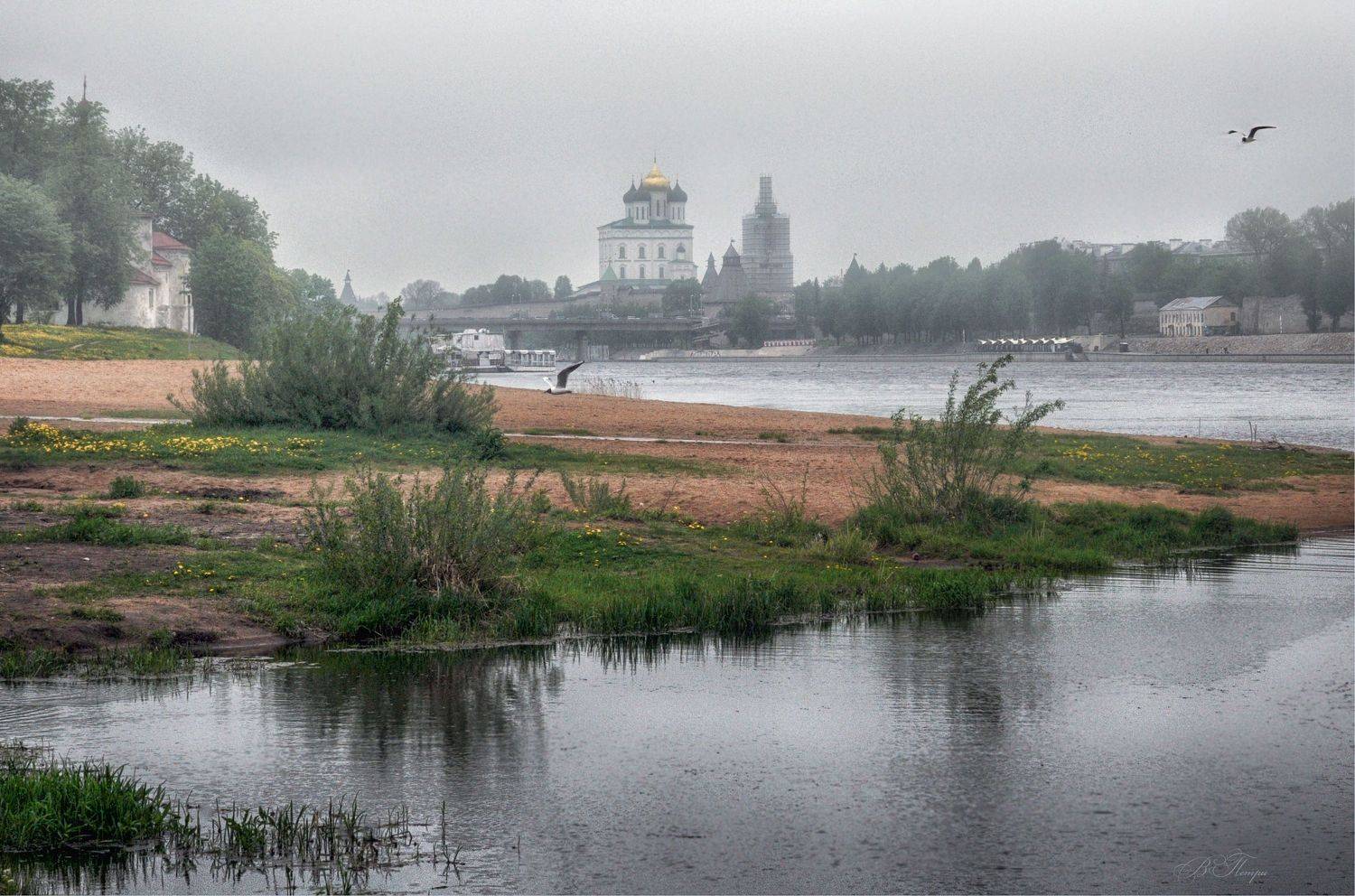 храм река чайки дождь, Вера Петри
