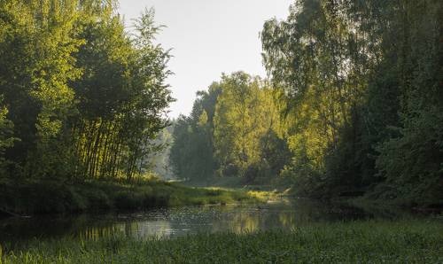 В утренней дымке