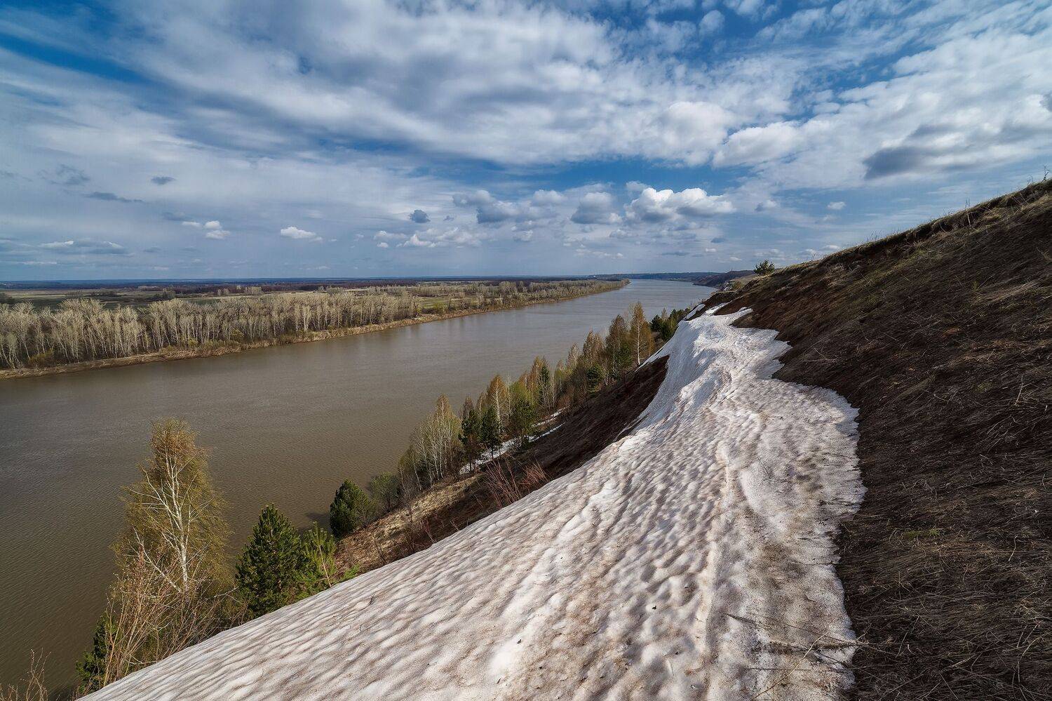 , Никитин Алексей