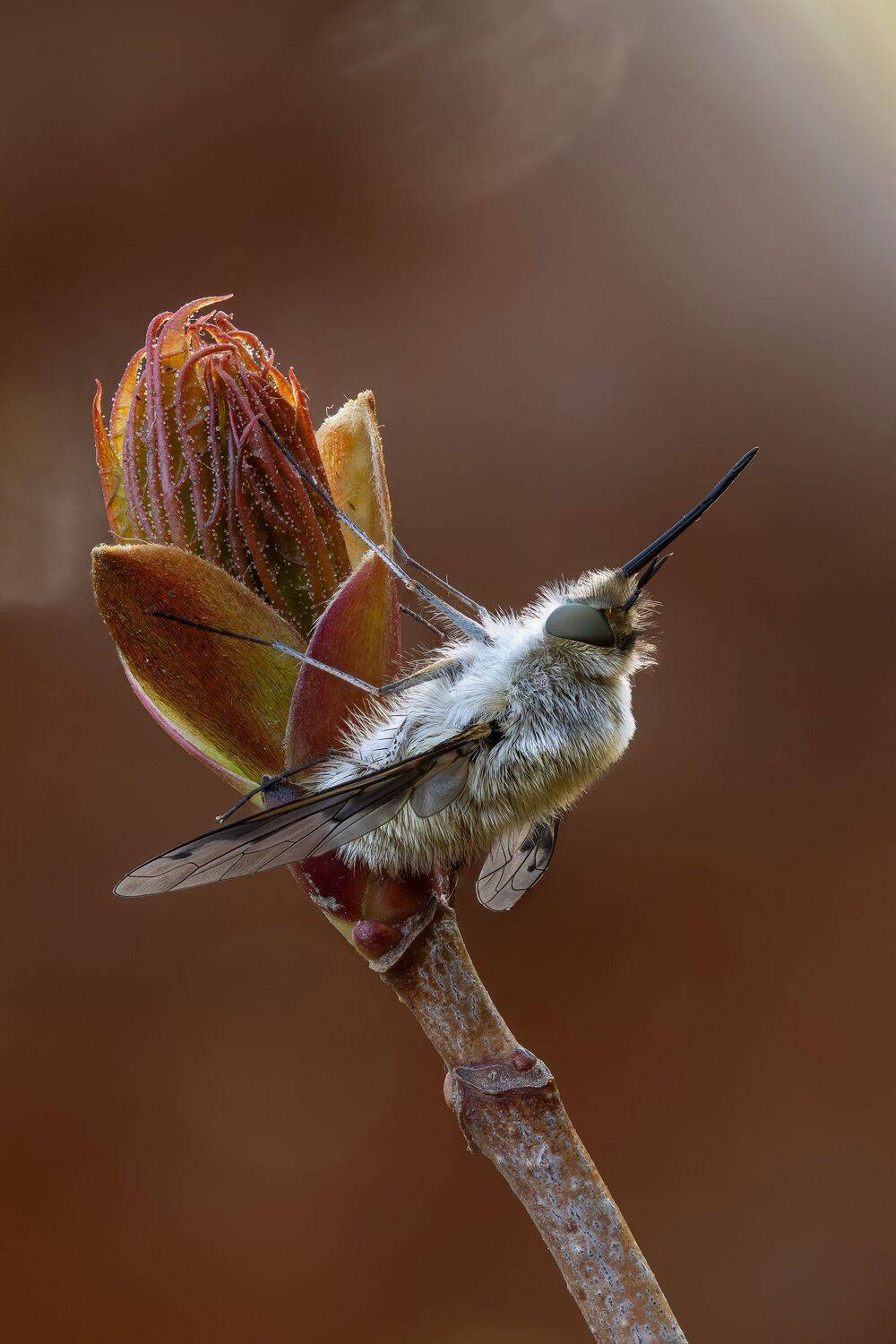 , Кузнецов Дмитрий