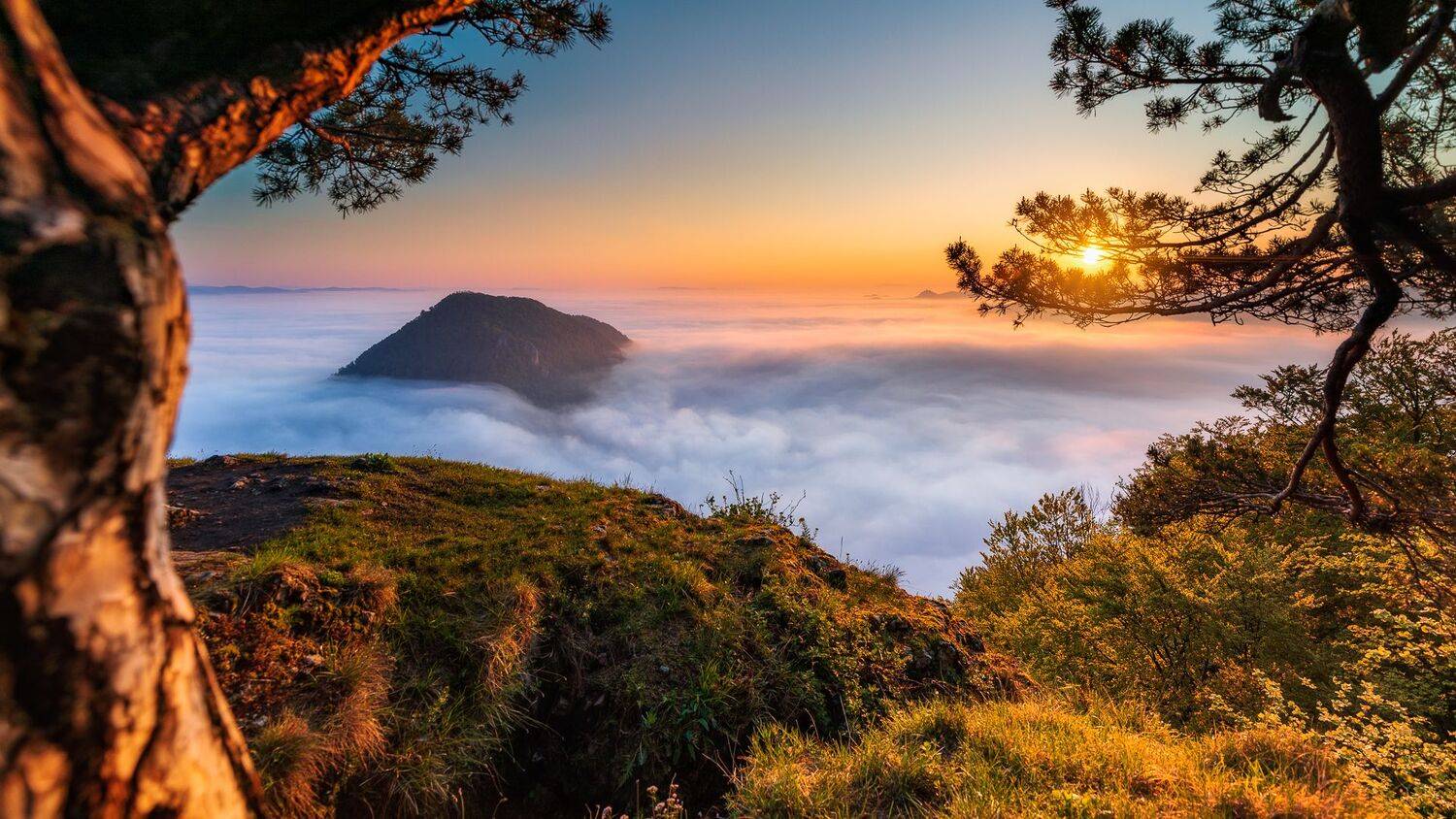 , Konf&aacute;l Miroslav