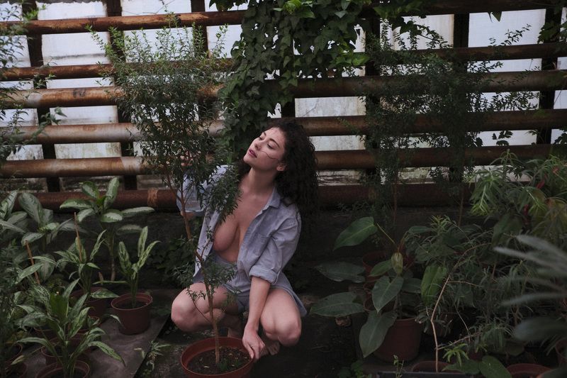 фото превью