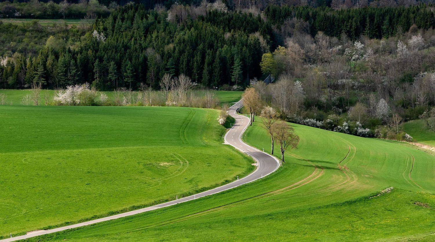 , Руслан Авдевич